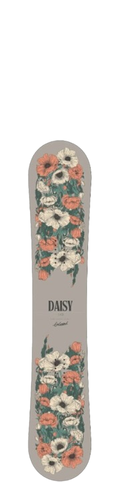 Daisy