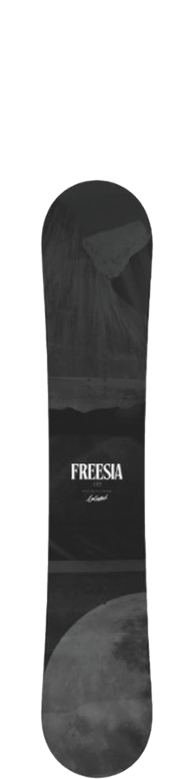 Freesia
