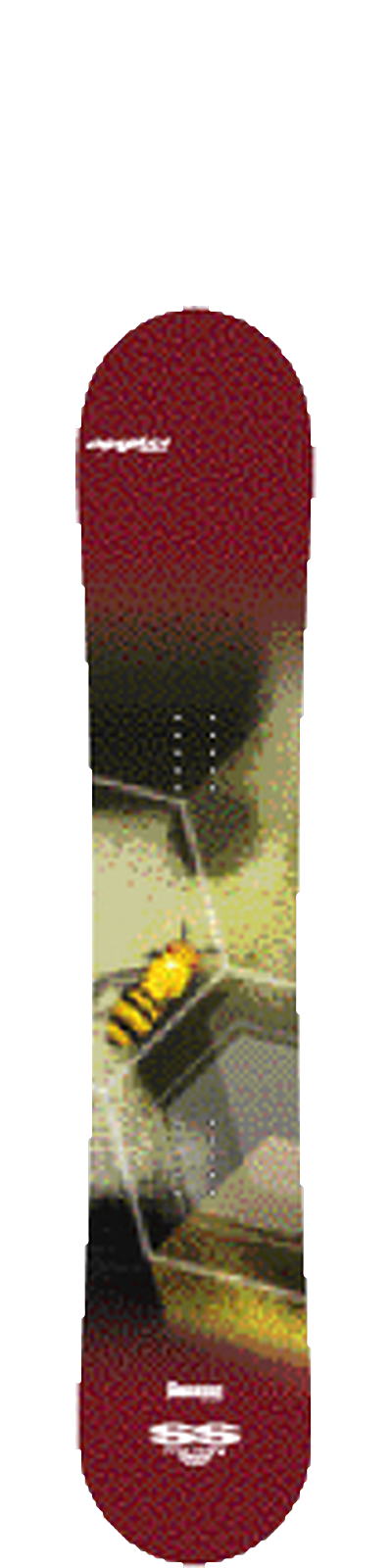 SS