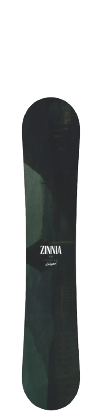 Zinnia