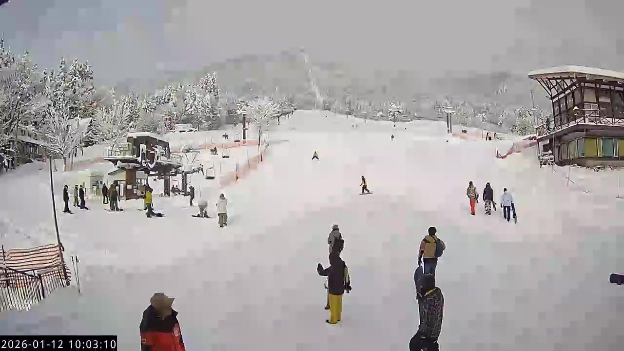 ひだ流葉 1月12日