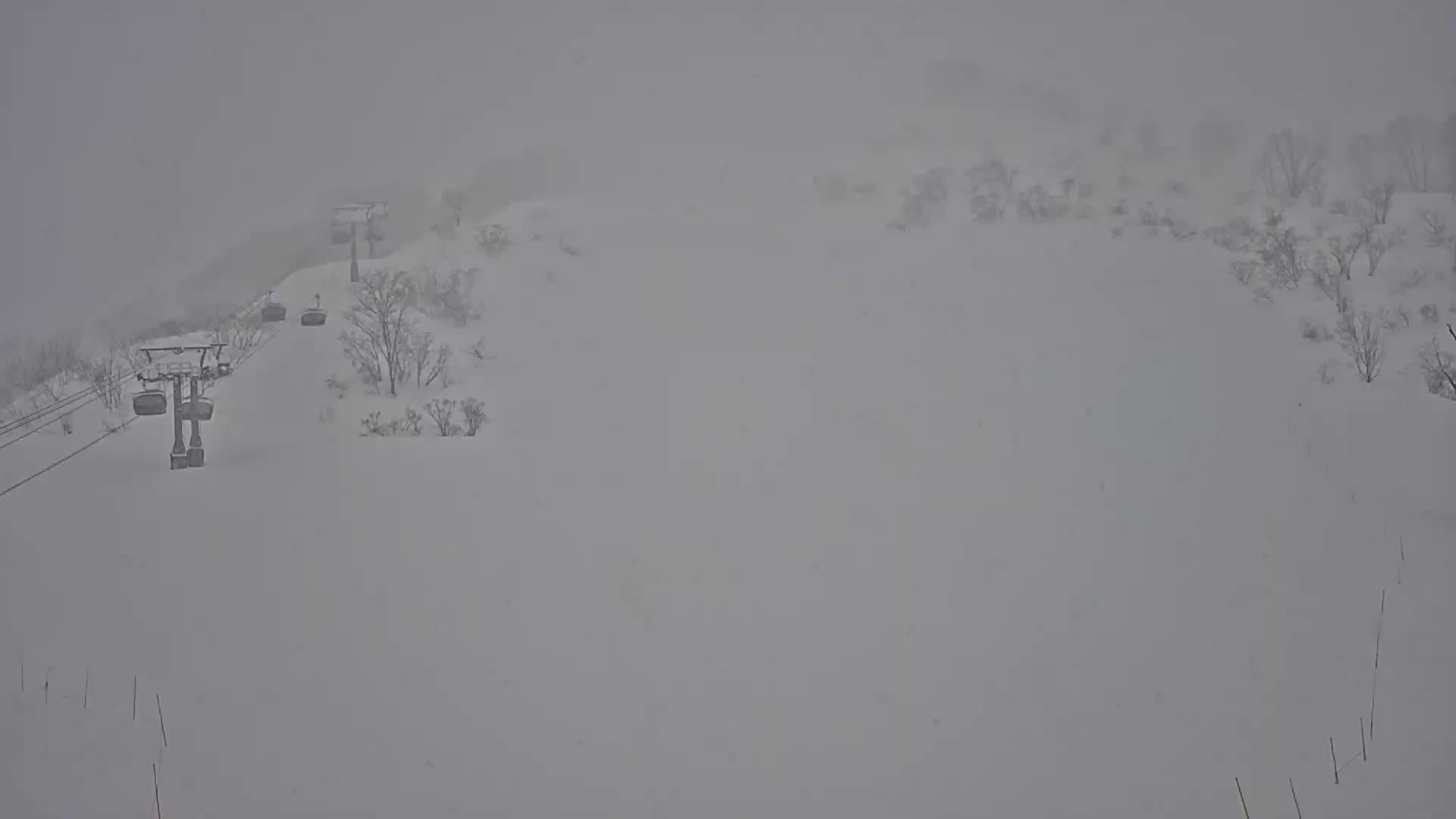 ロッテアライ 1月30日