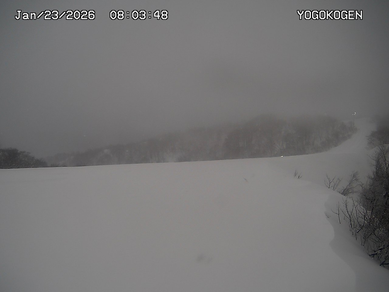 余呉高原YAP 1月23日