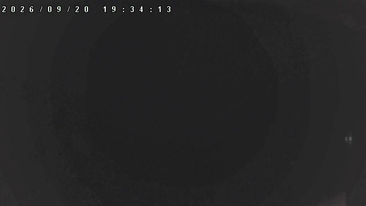 webcam