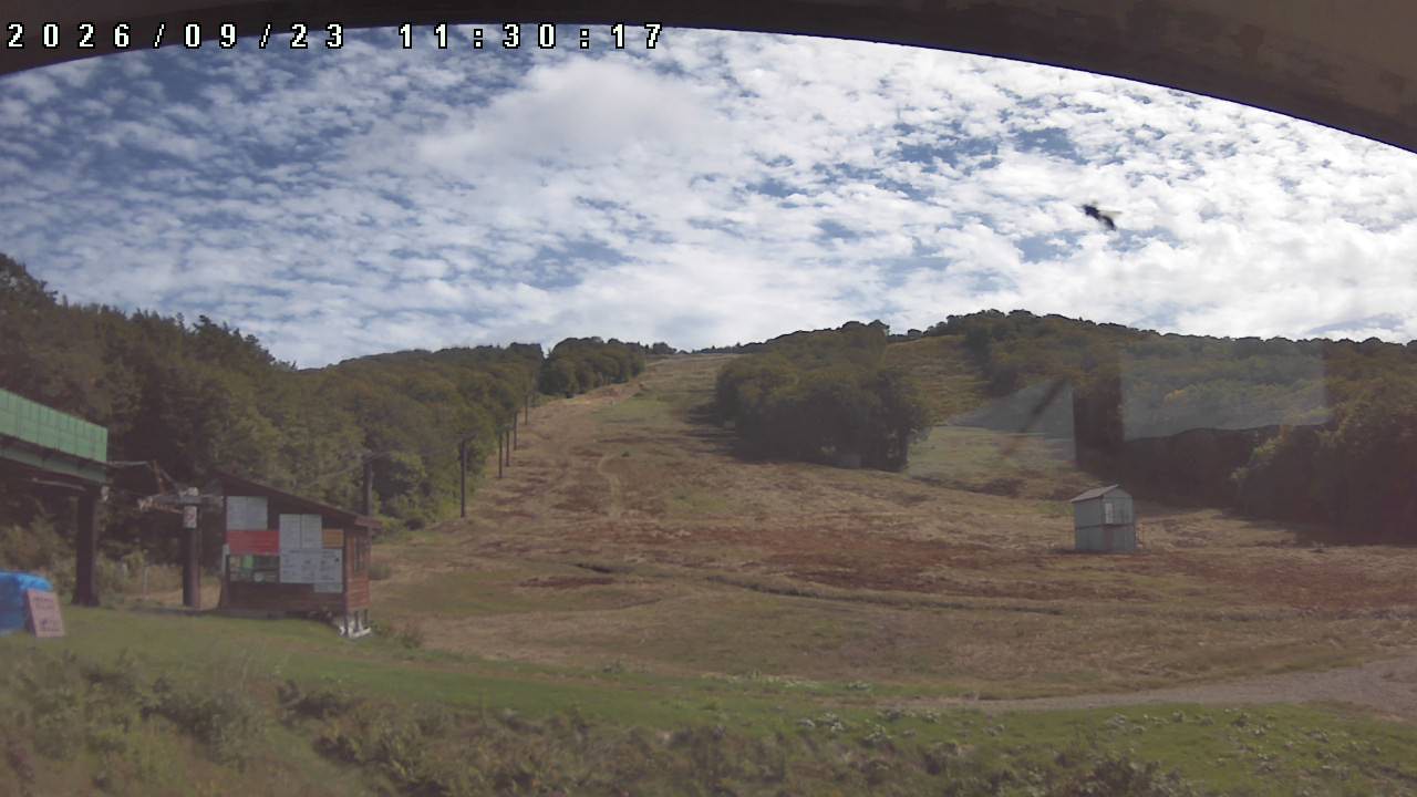webcam