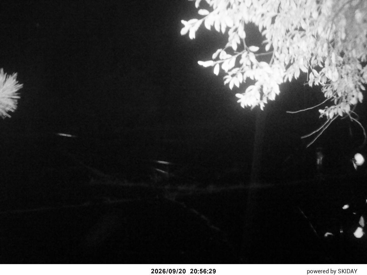 webcam