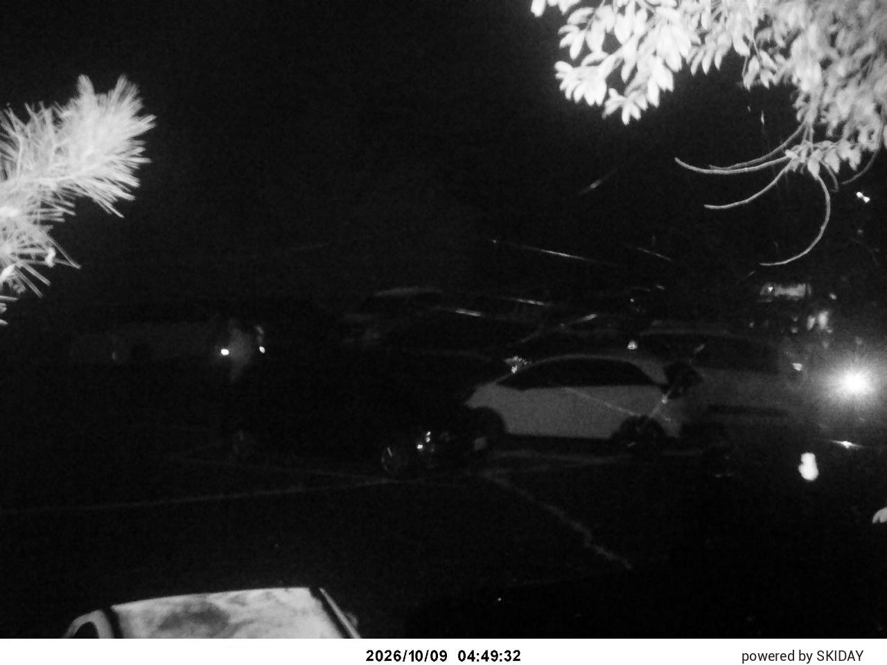 webcam