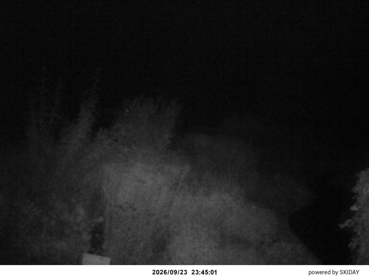 webcam