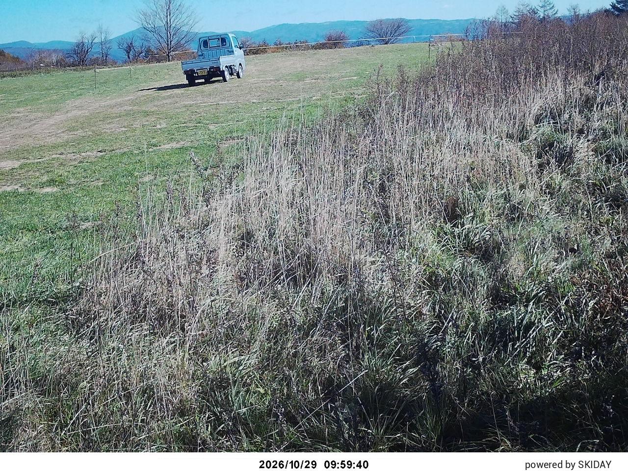 cam-1