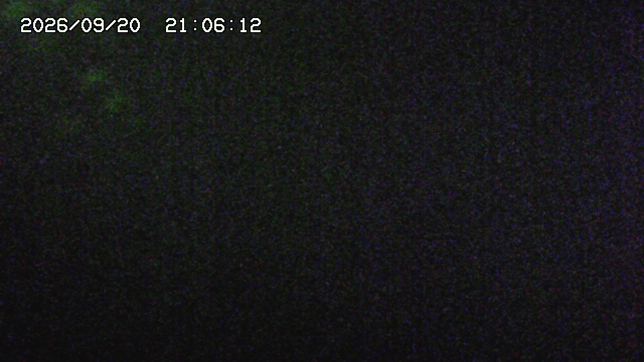 webcam
