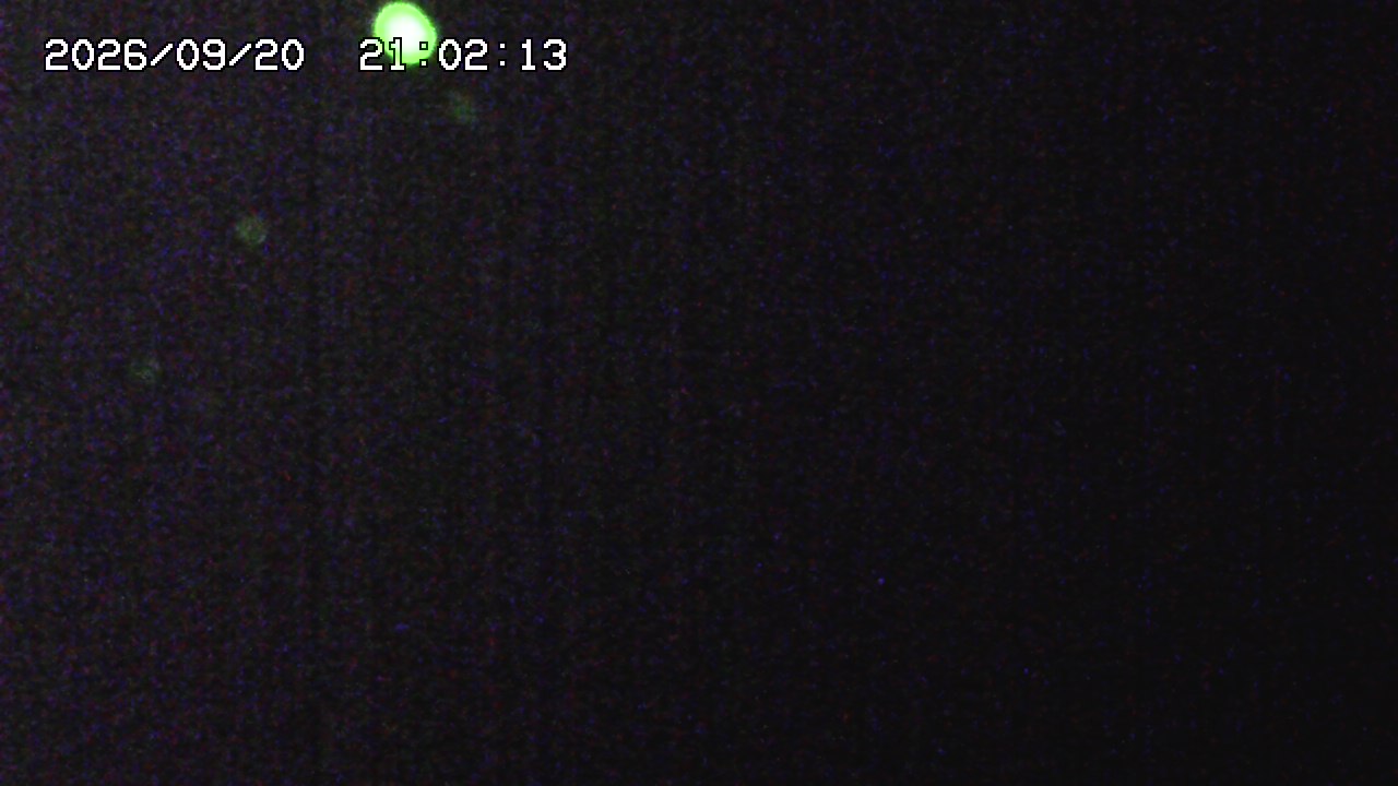webcam
