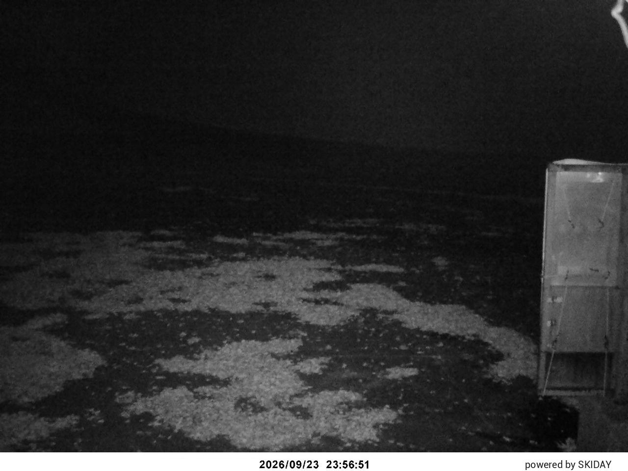 webcam