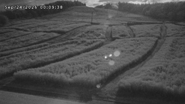 webcam