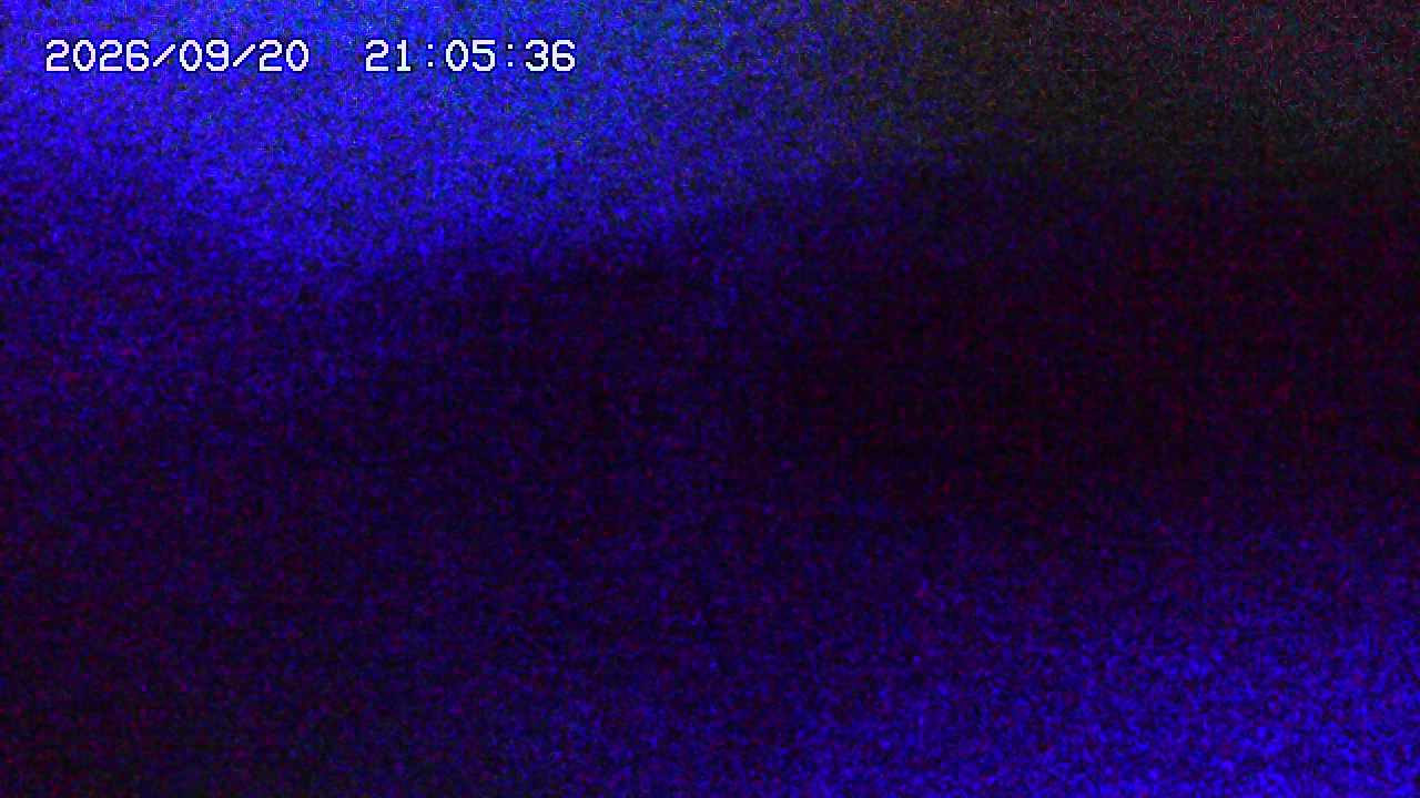 webcam