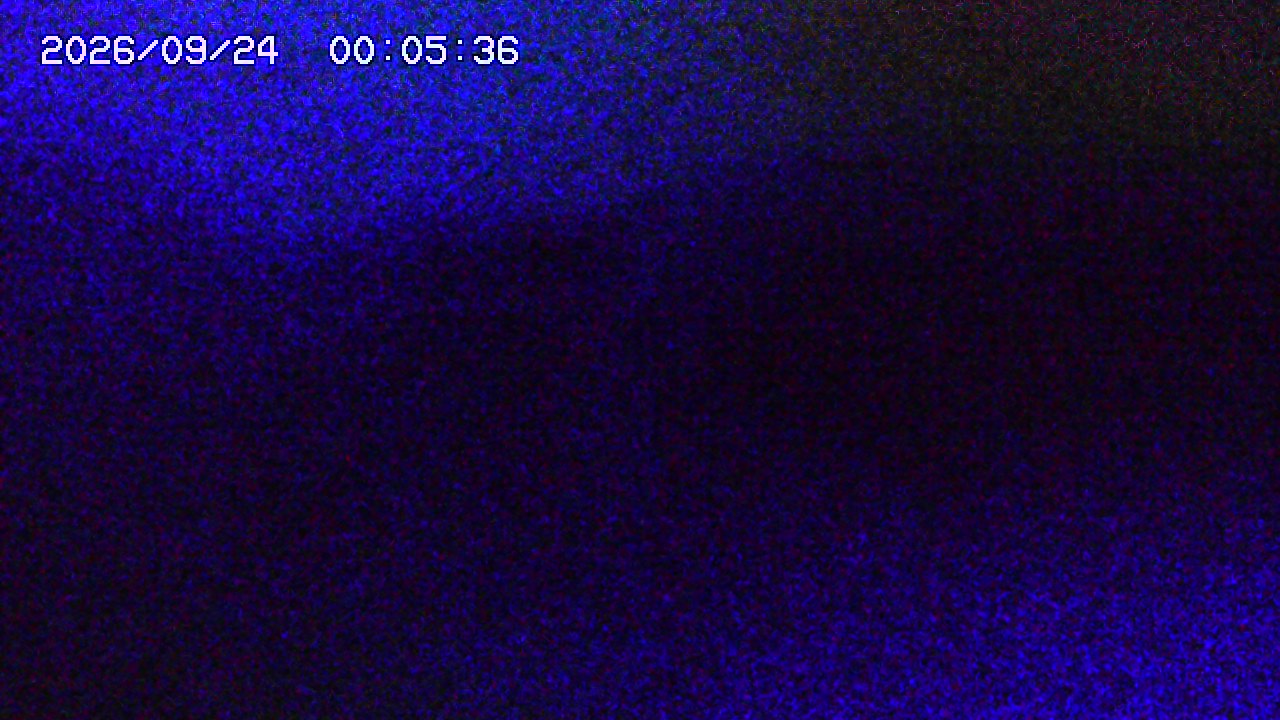 webcam